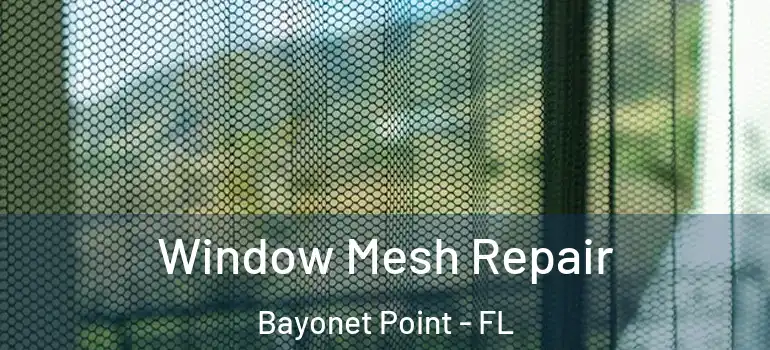  Window Mesh Repair Bayonet Point - FL