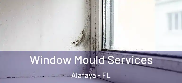 Window Mould Services Alafaya - FL