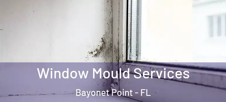  Window Mould Services Bayonet Point - FL