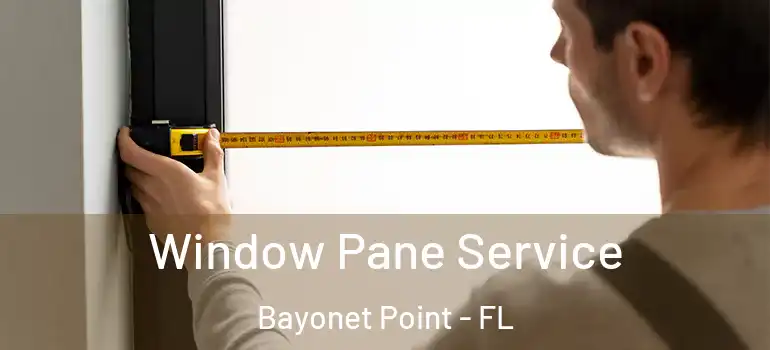  Window Pane Service Bayonet Point - FL