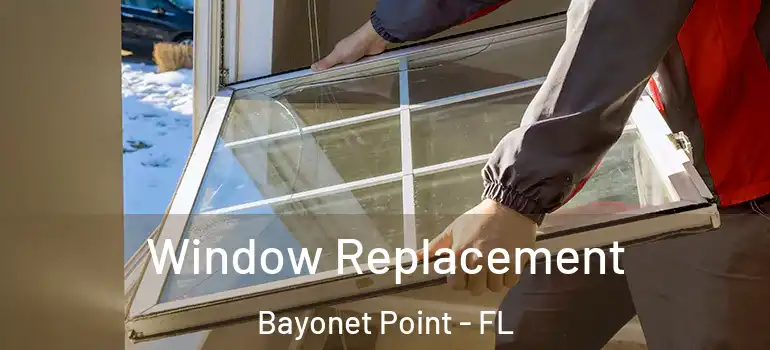  Window Replacement Bayonet Point - FL