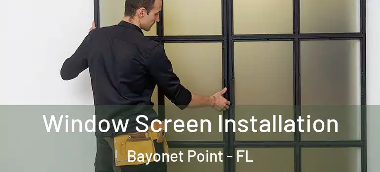  Window Screen Installation Bayonet Point - FL