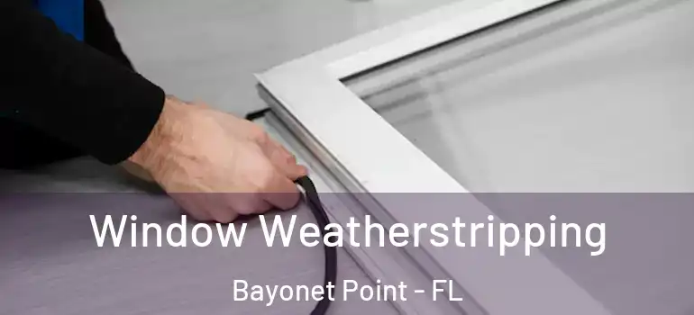  Window Weatherstripping Bayonet Point - FL